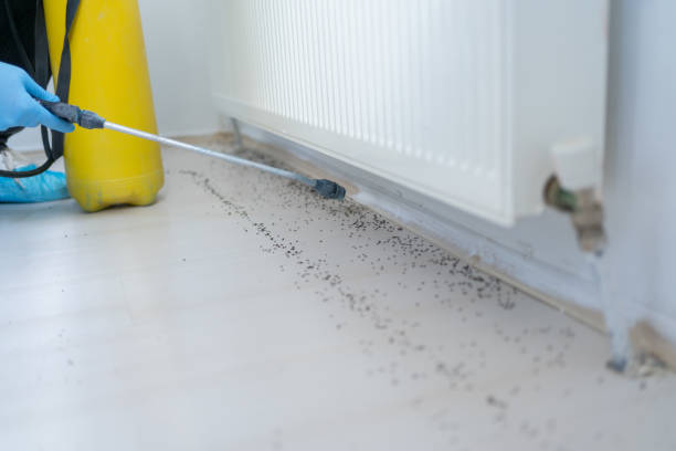 Best Commercial Pest Control Services  in Centerville, IA